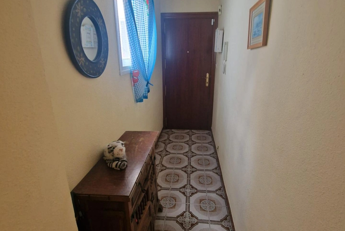 TORREVIEJA APARTAMENTO 3 HABS MUY AMPLIO EN PLENO CENTRO 169.000€